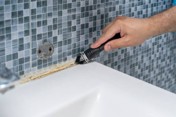 Best Mold Damage Repair  in Magee, MS